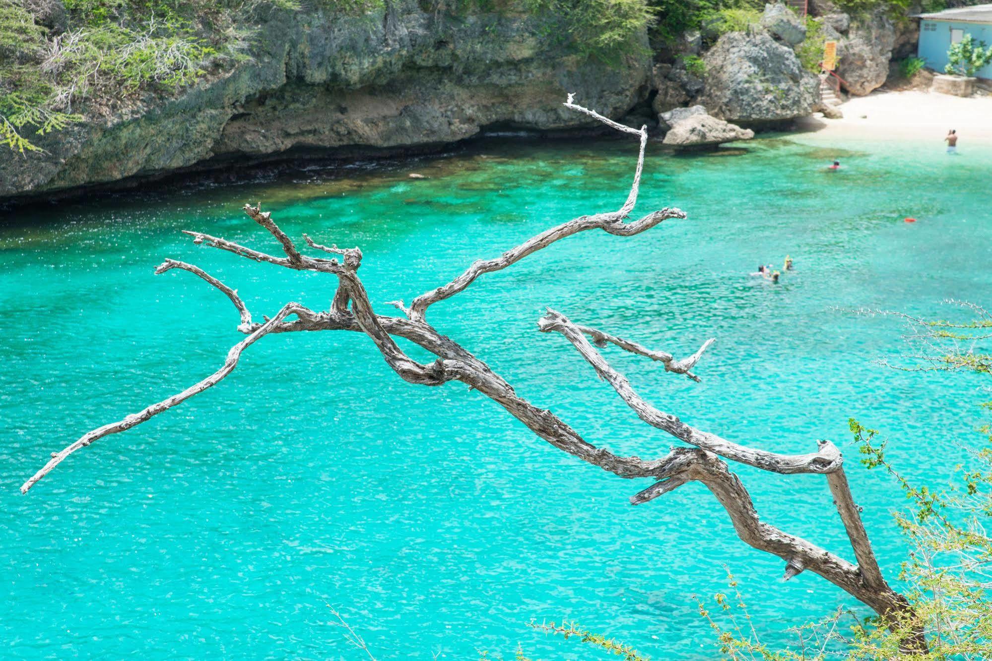 Lagun Blou Dive And Beach Resort Exterior foto