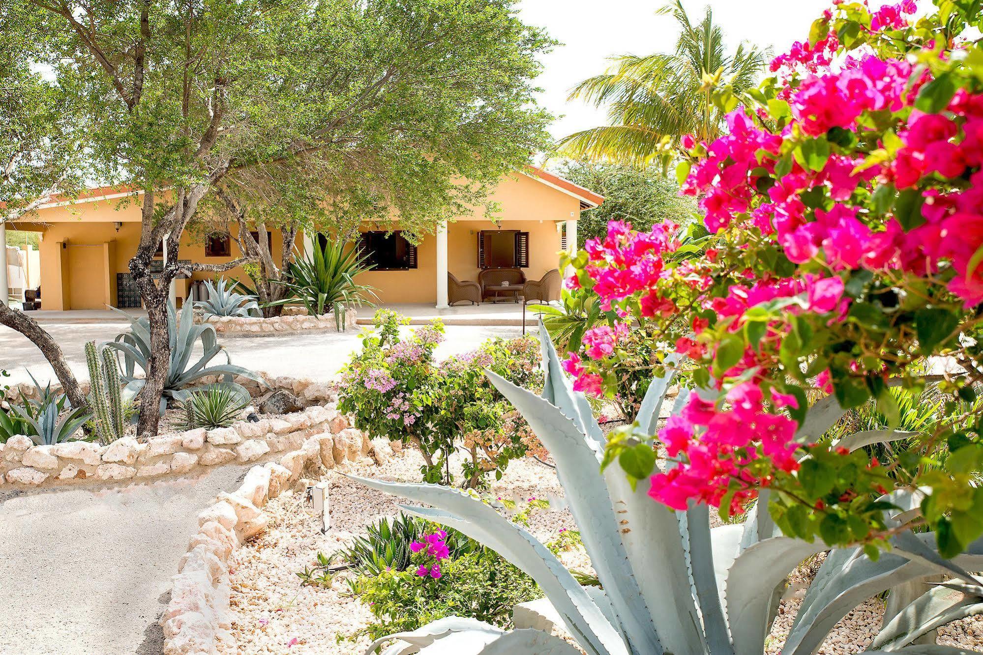 Lagun Blou Dive And Beach Resort Exterior foto