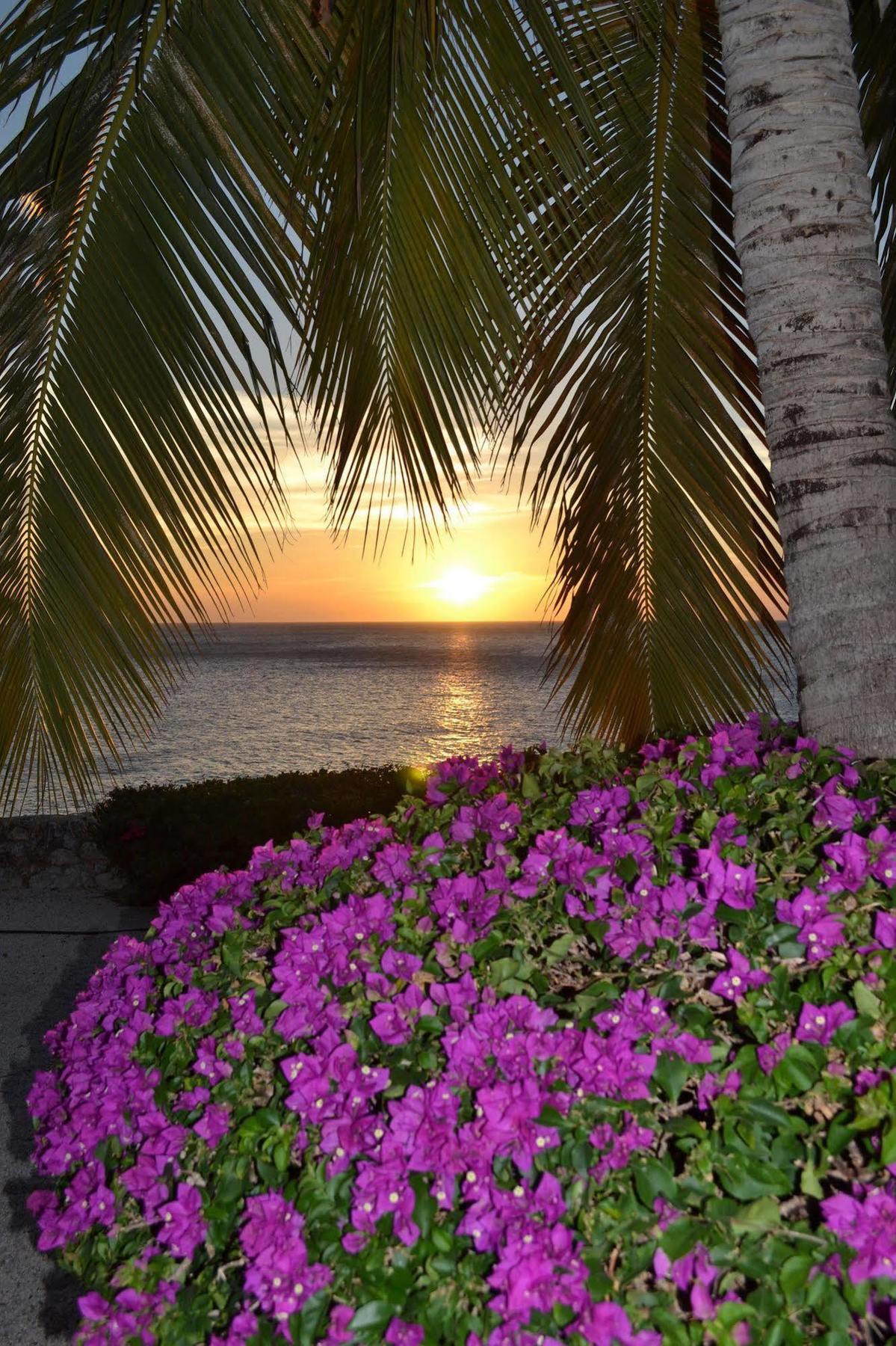 Lagun Blou Dive And Beach Resort Exterior foto